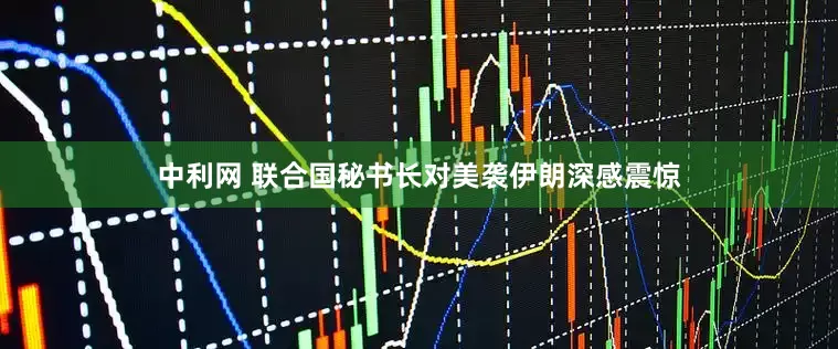 中利网 联合国秘书长对美袭伊朗深感震惊
