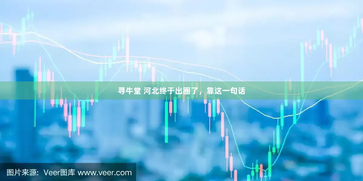 寻牛堂 河北终于出圈了，靠这一句话