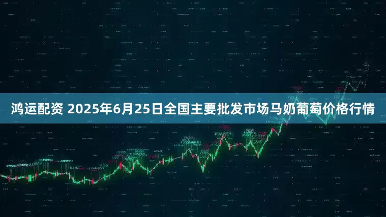 鸿运配资 2025年6月25日全国主要批发市场马奶葡萄价格行情