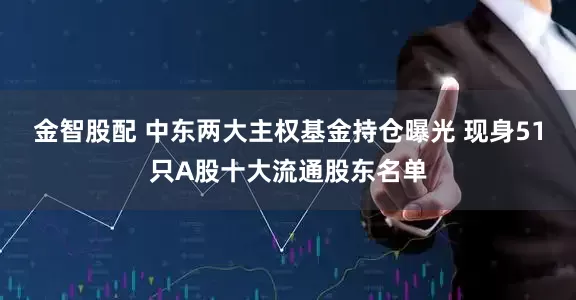 金智股配 中东两大主权基金持仓曝光 现身51只A股十大流通股东名单