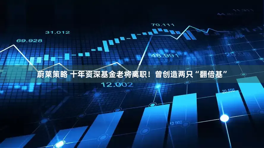 蔚莱策略 十年资深基金老将离职！曾创造两只“翻倍基”