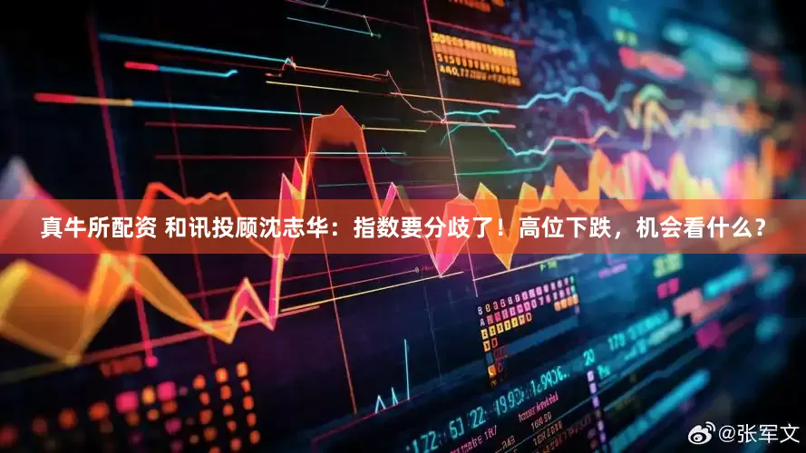 真牛所配资 和讯投顾沈志华：指数要分歧了！高位下跌，机会看什么？